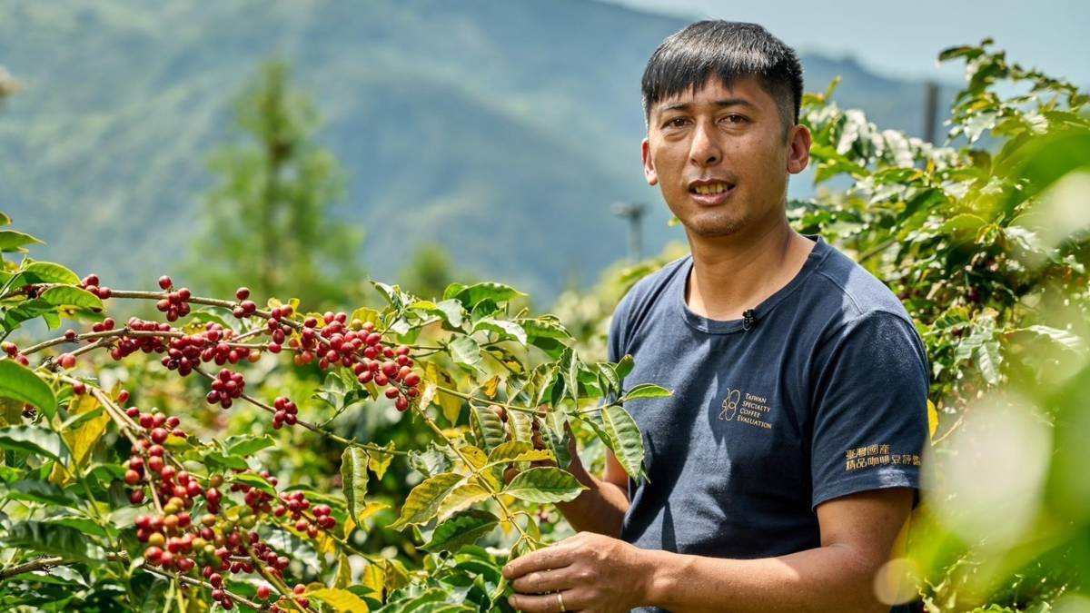 方政倫第一次參與咖啡烘焙競賽就奪冠(圖片來源：方政倫提供)