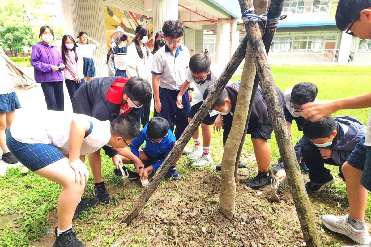 畢業班植樹活動(光蠟樹)，增加學校生態固碳量