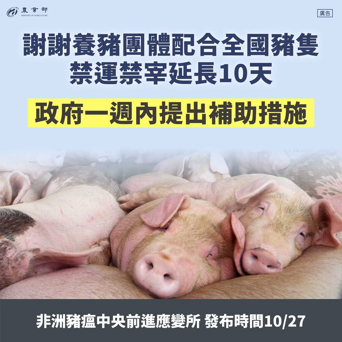 非洲豬瘟已完成全國第一輪報告，全數無異狀(圖片：農業部提供)