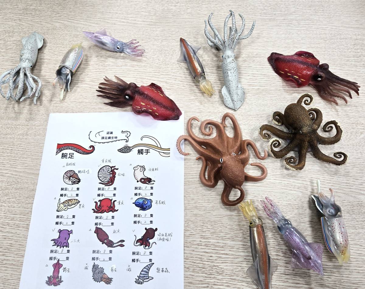 課堂中辨識海洋生物