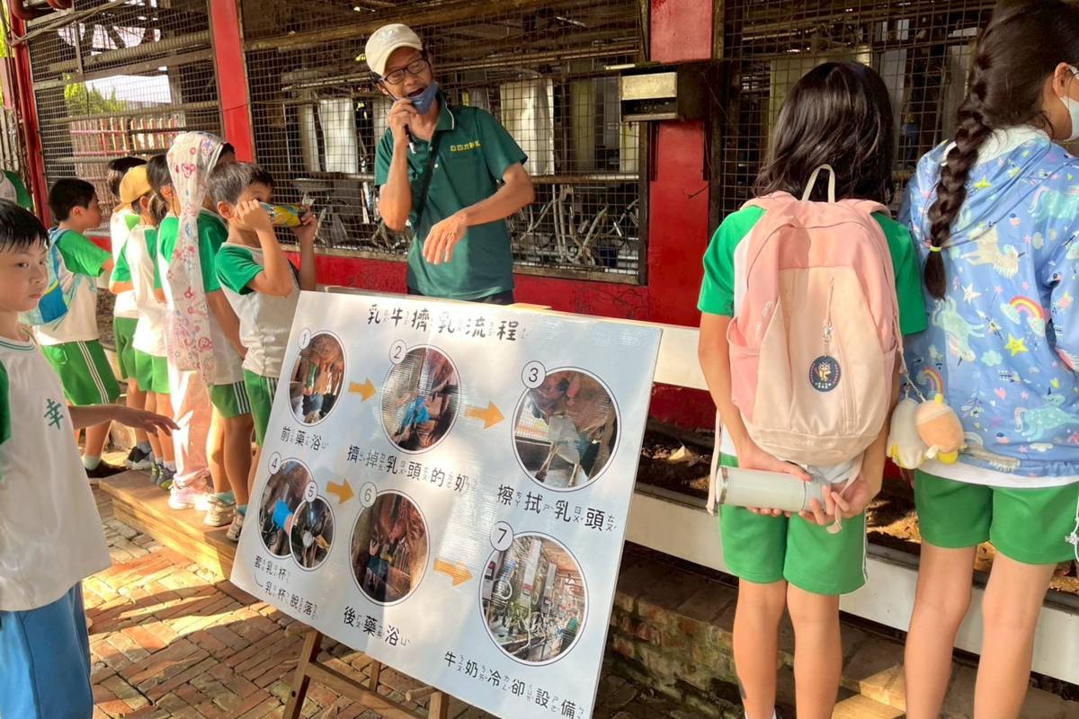臺北市幸安國小學生參訪酪農牧場，了解鮮奶產製過程
