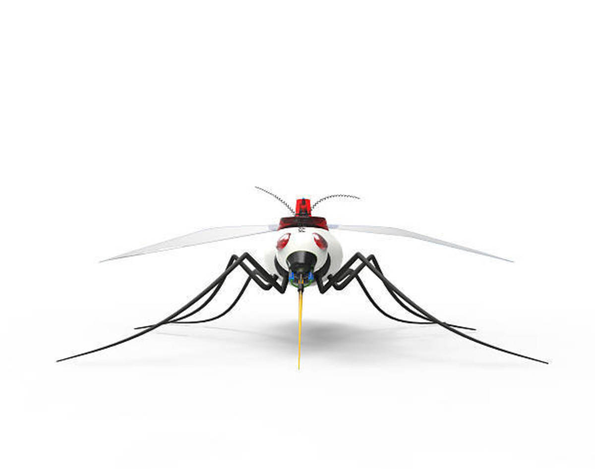 mosquitoe? drone?