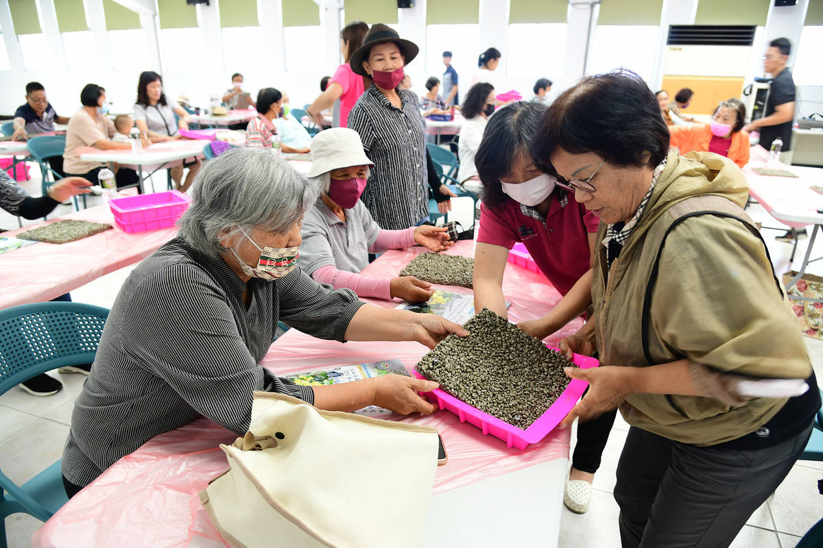 鹿角蕨×火山浮石手作植生板療育課程，自植生板製作到植株上板固定，學員皆以親手製作為核心理念。