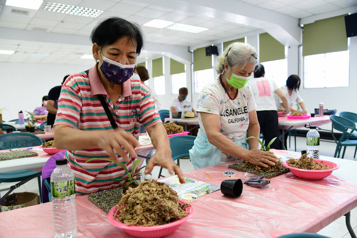  鹿角蕨×火山浮石手作植生板療育課程，自植生板製作到植株上板固定，學員皆以親手製作為核心理念。