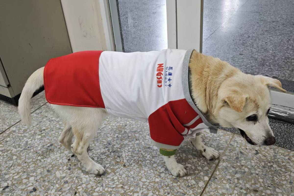 花女學姐-校狗小乖