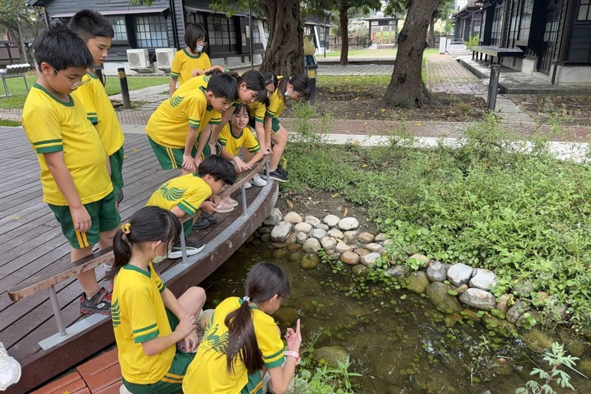 苗栗縣山腳國小：認識水生植物的自然體驗