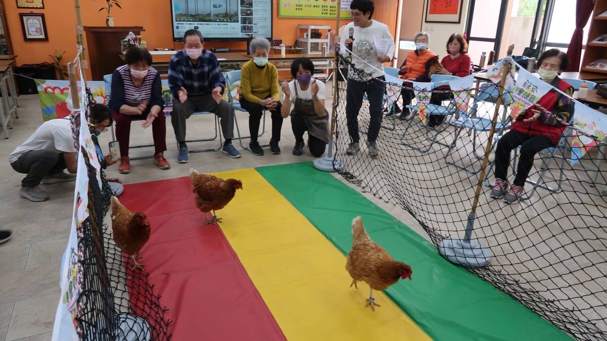 第四屆友雞會運動會，雞比賽加油聲