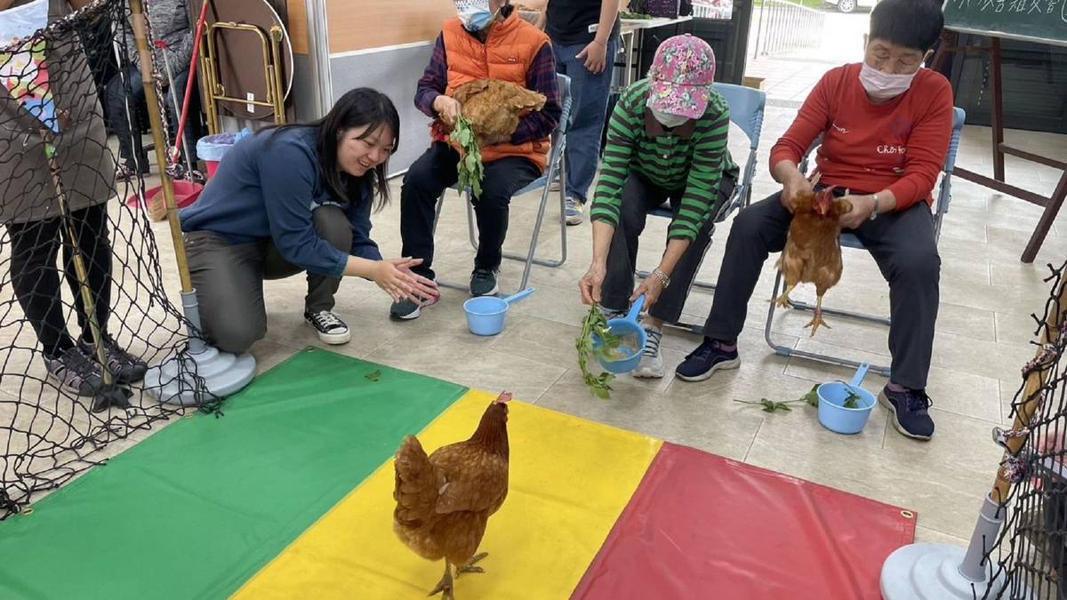 阿公阿嬤一聲我愛你：人與雞的走鏢約定 