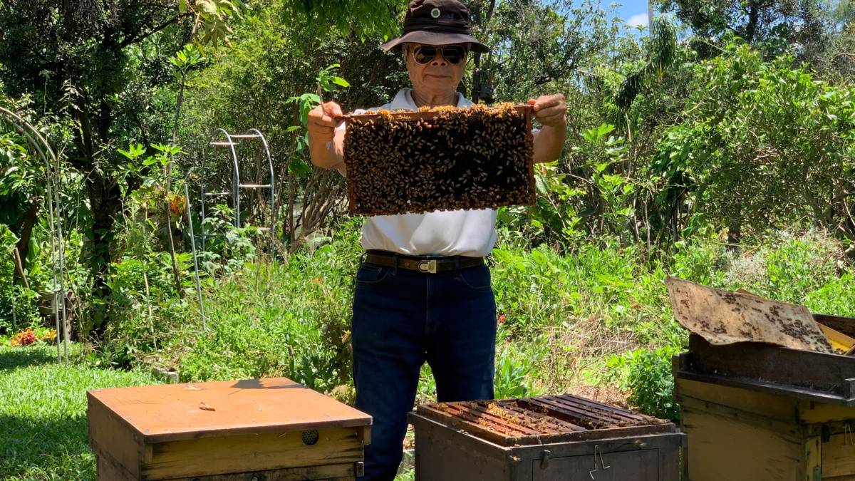 SDGs目標13 氣候行動農夫有責-陳世雄提供.jpg