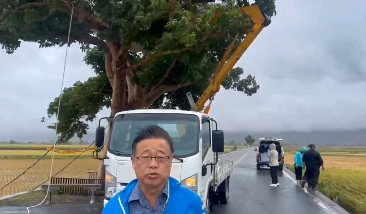 林建宏鄉長巡視金城武樹防護情形