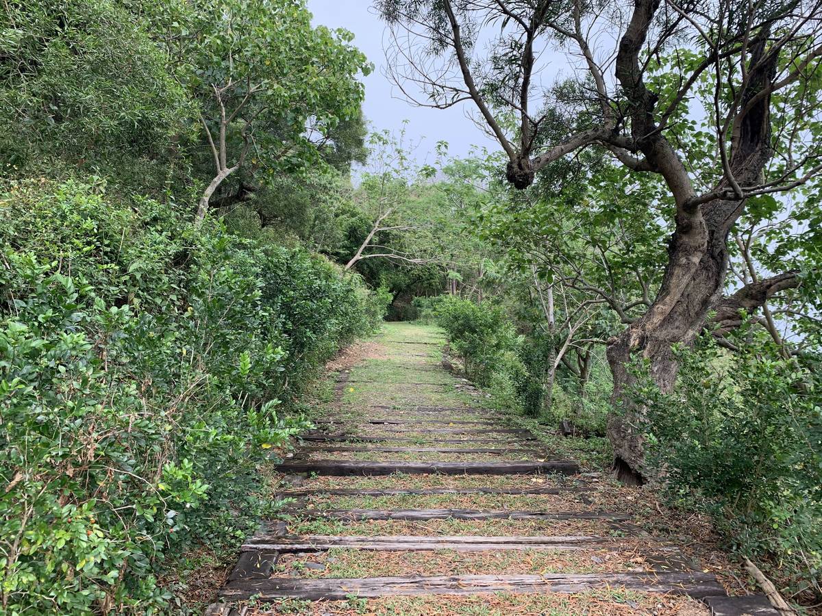 大武觀海步道15日恢復開放後，民眾可享受邊爬山邊吹海風的舒暢。