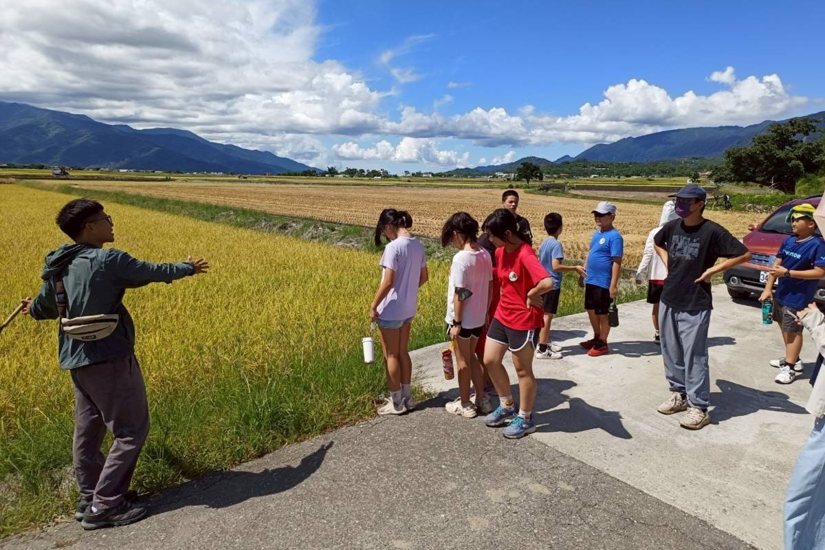 池上萬安國小師生到附近田區進行生物多樣性監測