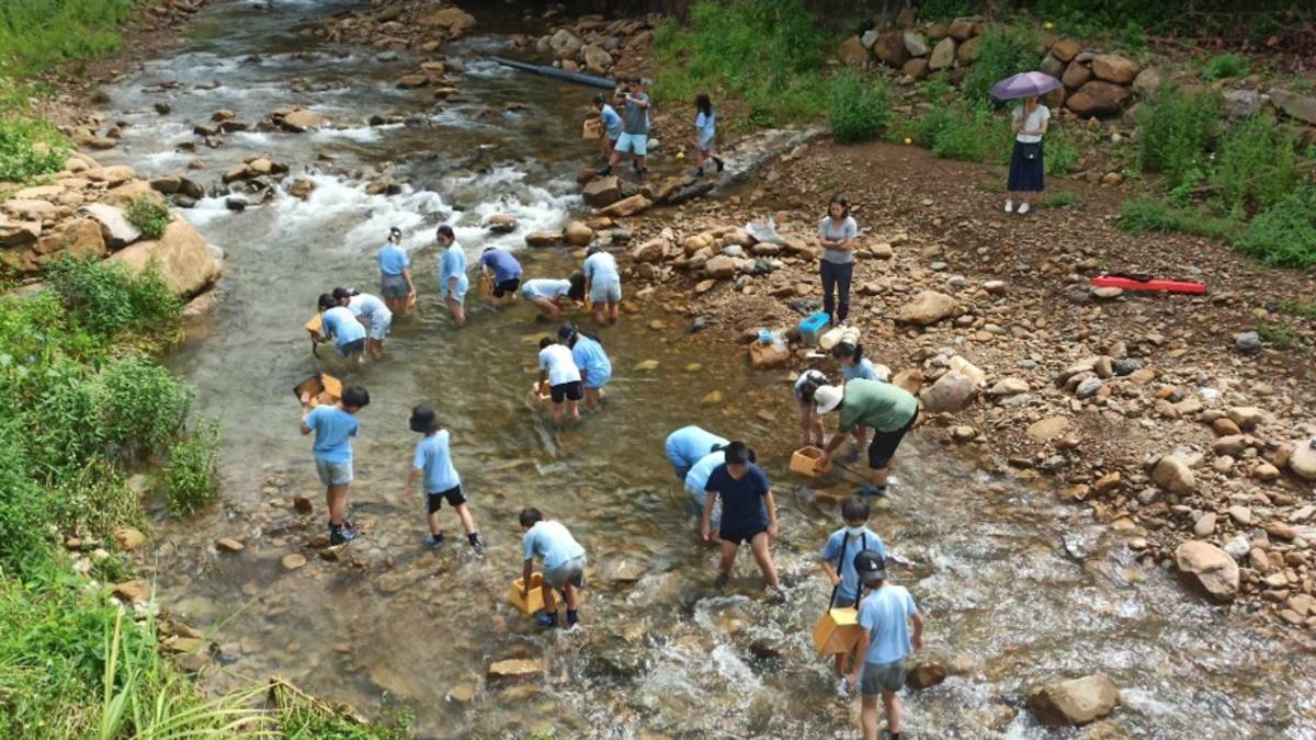 以近自然工法改善後的遠望坑溪，是地方學校校本課程的學習場所