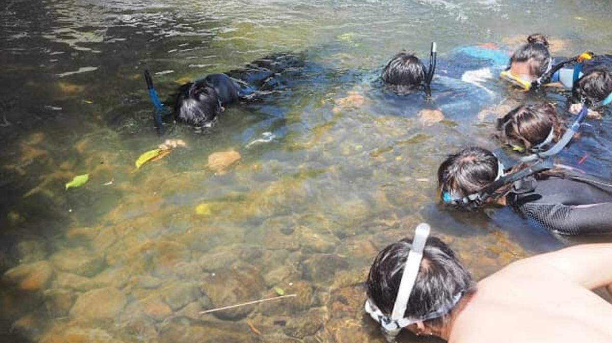 趴溪是夏天認識溪流非常理想的方式之一