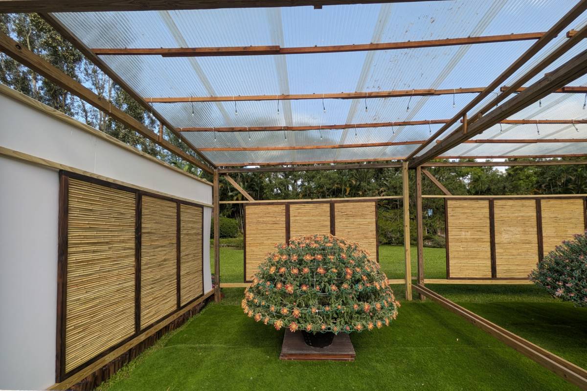 「2025士林官邸菊展」展出多色大立菊