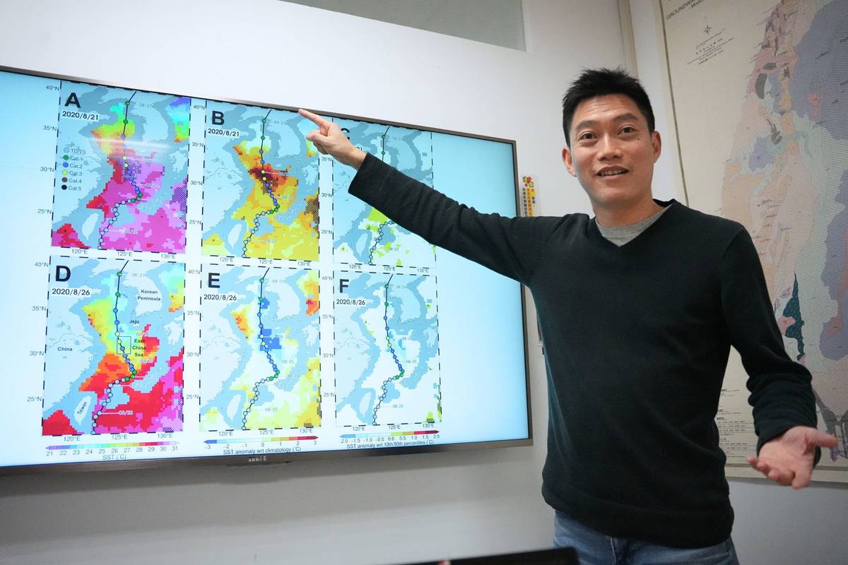 潘任飛教授團隊最早以2020年侵襲東海的「巴威」(Bavi) 颱風研究，發現通過東海時，高達7°C的海面降溫。(中央大學提供)