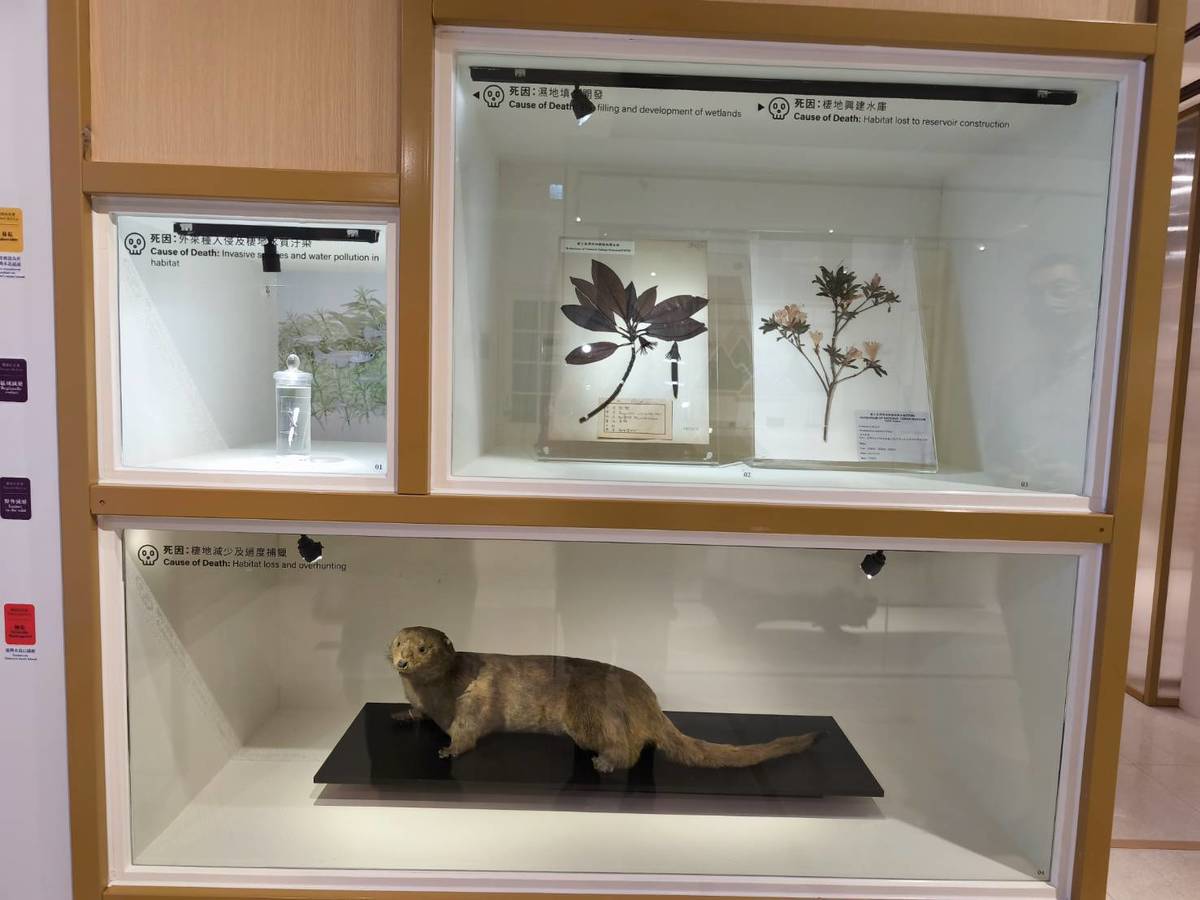 「第六次大滅絕?命運還是機會」特展。