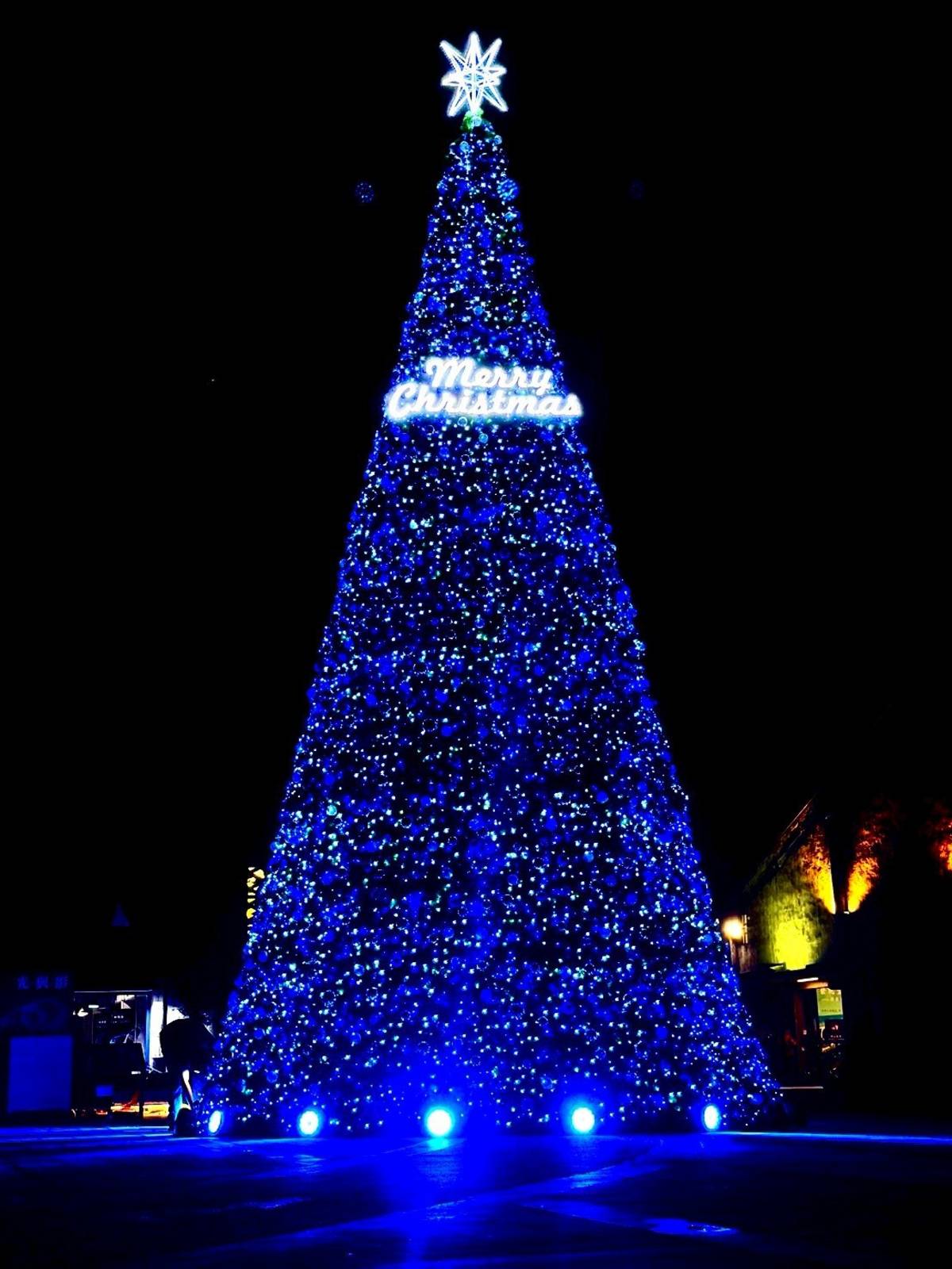 米高聖誔主樹(圖片/宜蘭縣政府文化局提供)