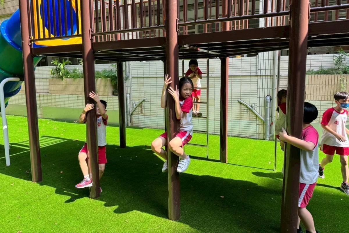 直立式爬竿刺激又有趣