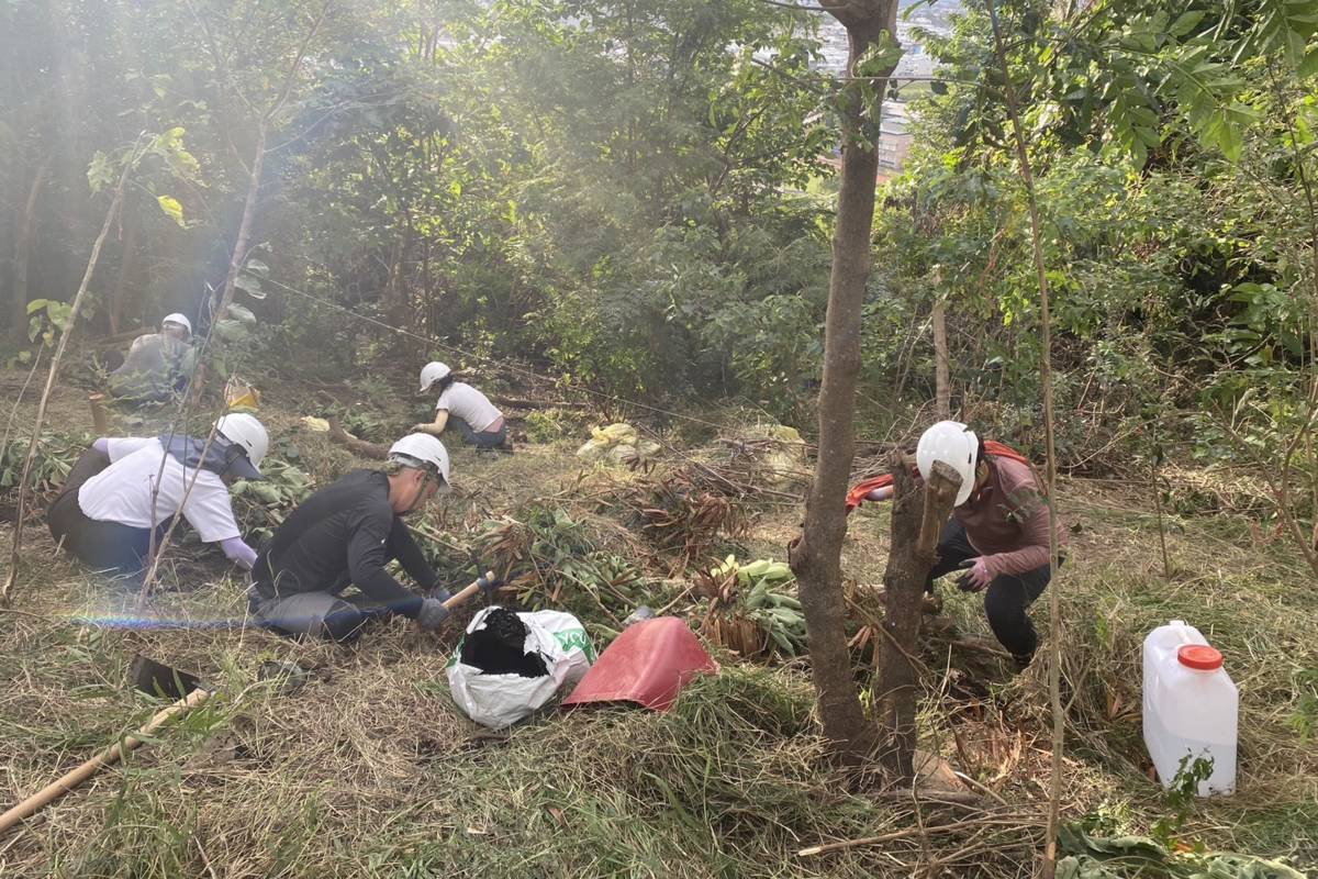 數十位來自各界，關心環境的學員齊聚鯉魚山鯉尾坡地，透過手作等高線植栽床方式，進行退化坡地的植生復育行動。