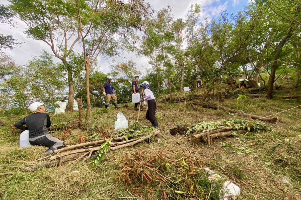 鯉魚山手作護坡工作坊帶領學員實際投入鯉魚山南稜坡地的植生復育，並手作一條通往歷史遺跡的自然步道。