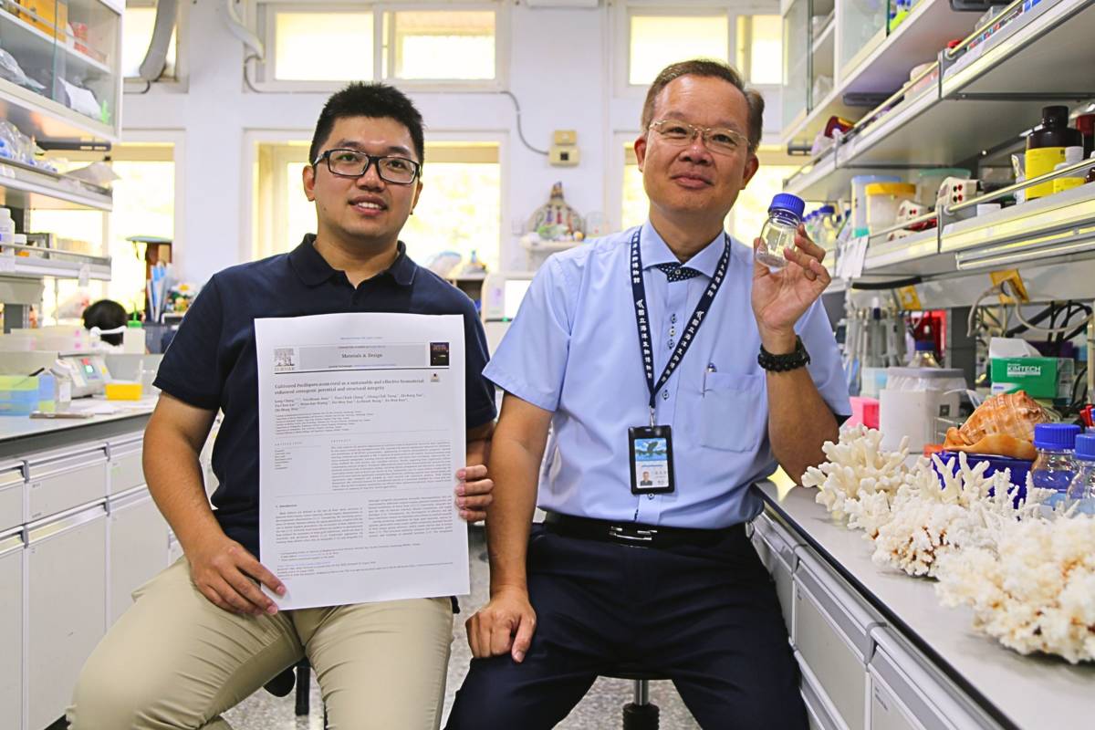 再生醫學新發現 鹿角珊瑚骨骼化身高階骨材