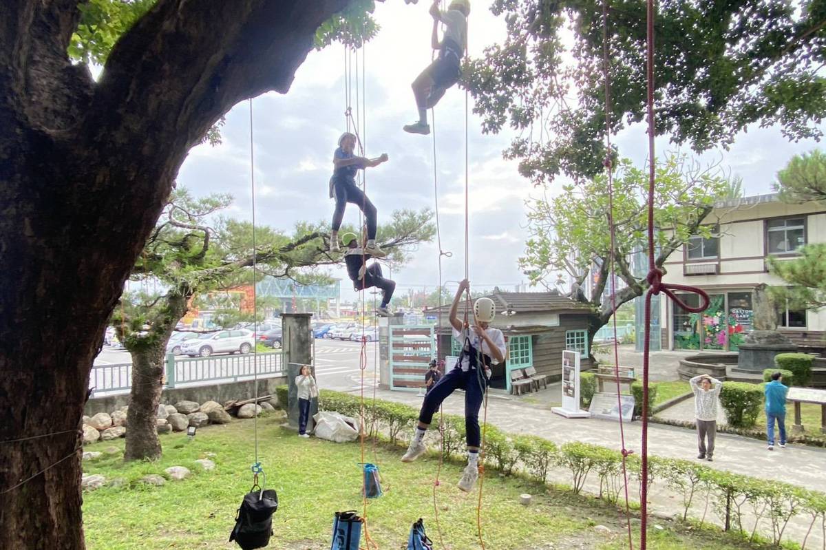 青少年攀樹體驗