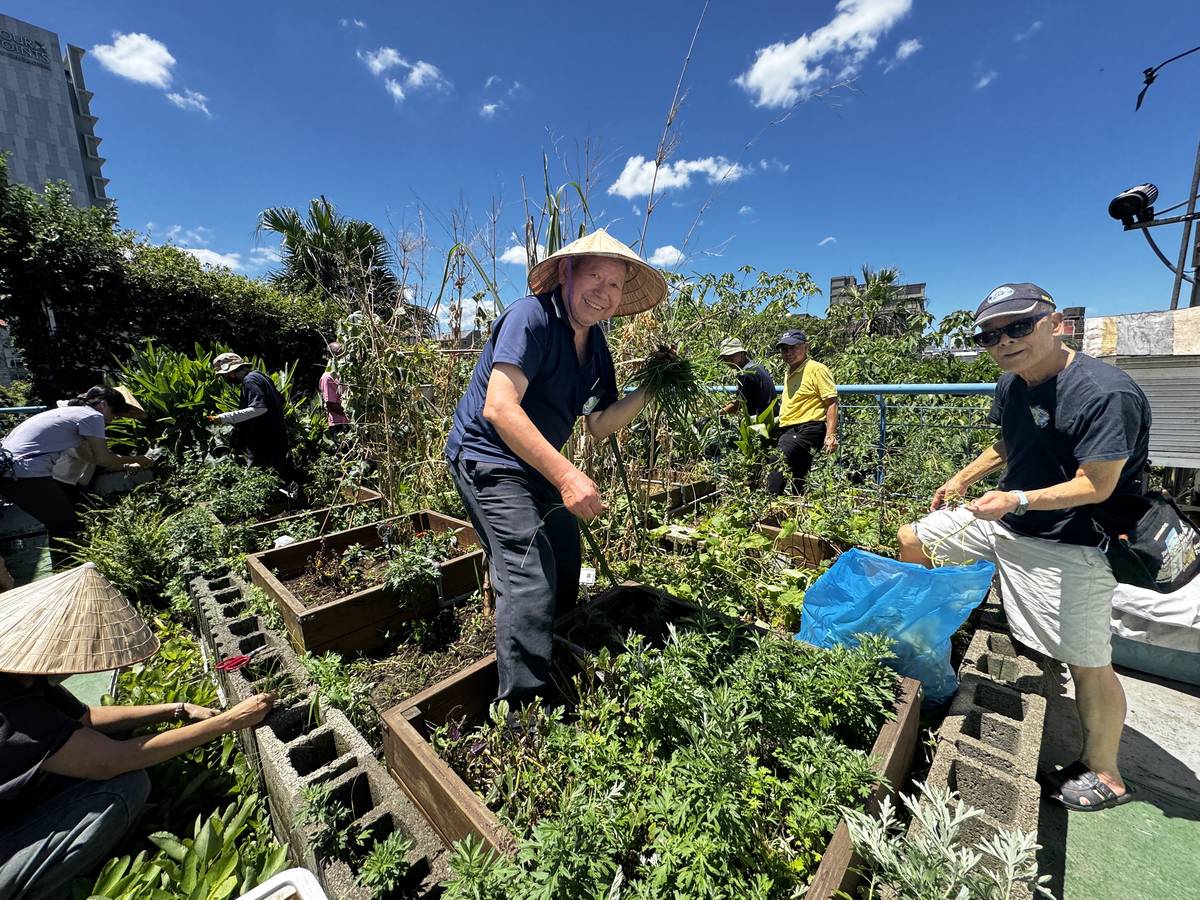 新北市永續環境教育中心志工協助整理綠屋頂