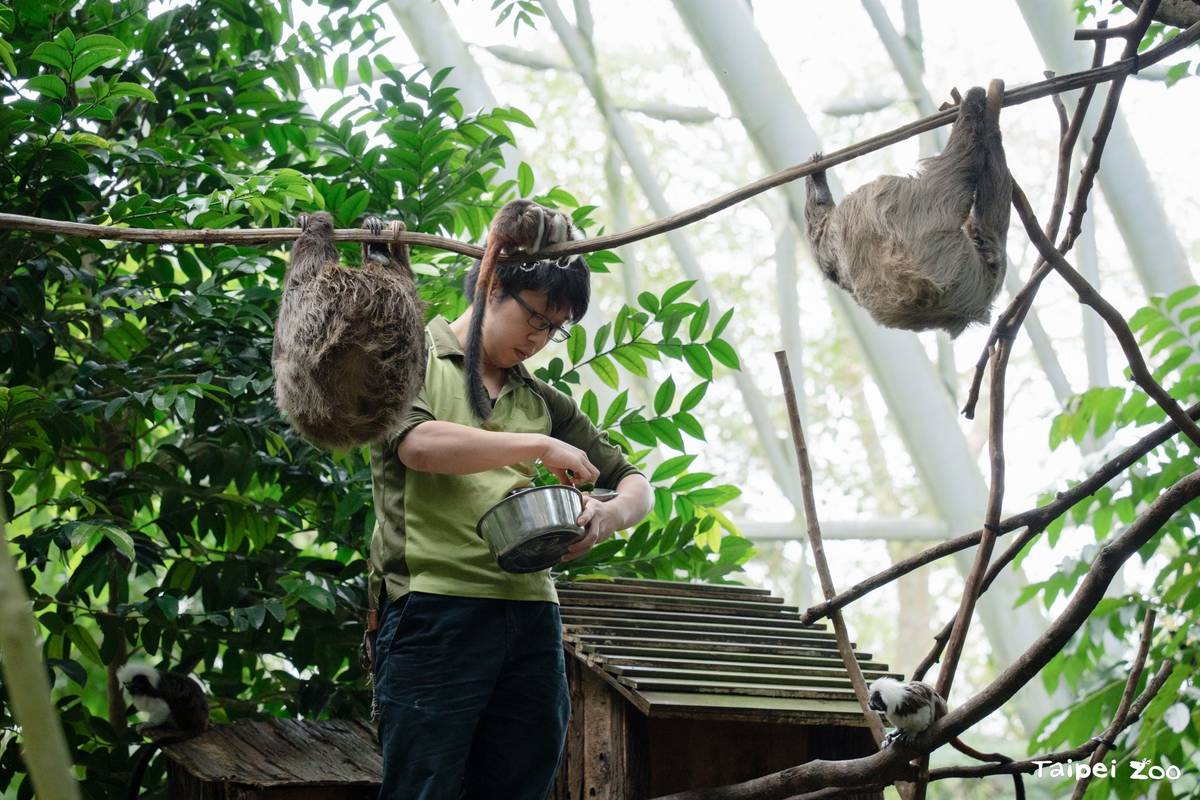保育員每天為動物們精心準備豐富多元食物，提醒民眾不要餵食

