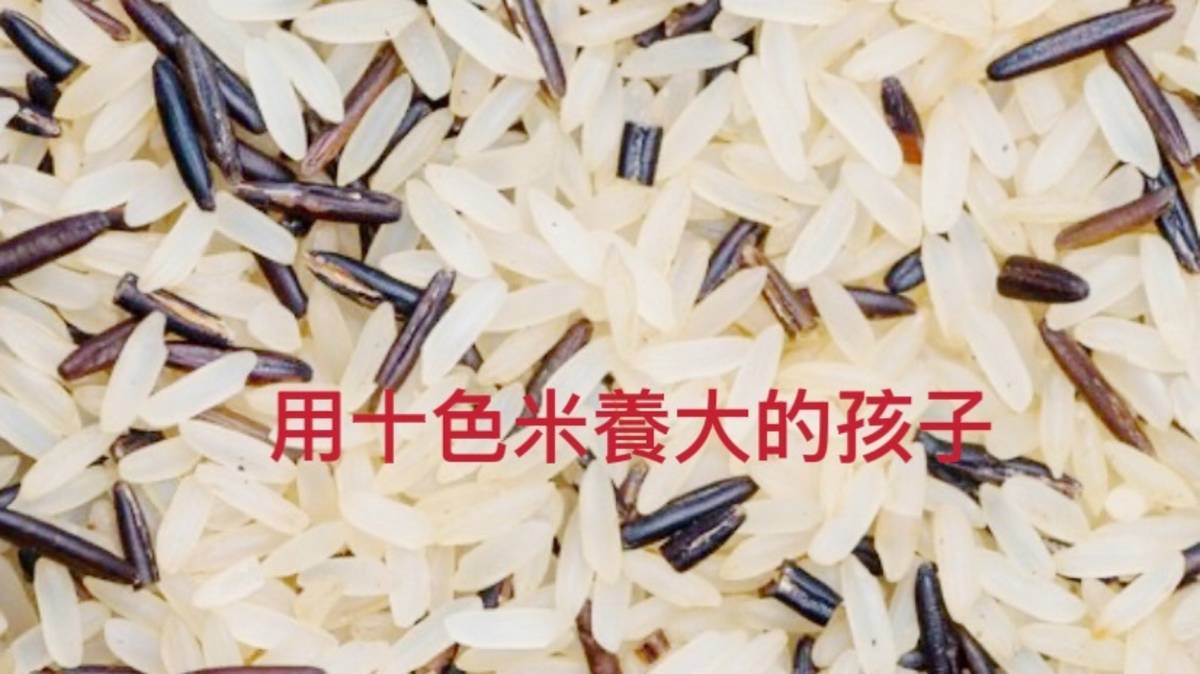 用十色米養大的孩子