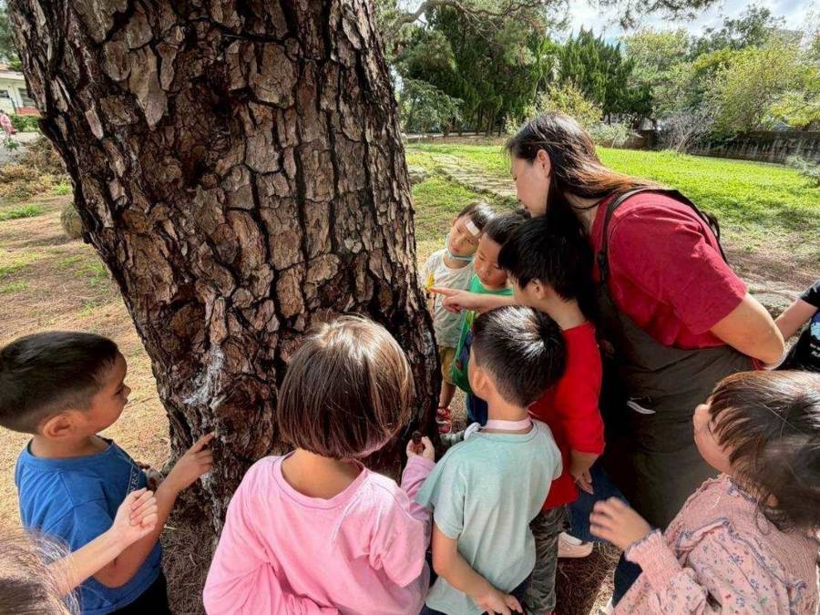 幼兒自創繪本記錄家鄉   幼兒生活自理力的重要
