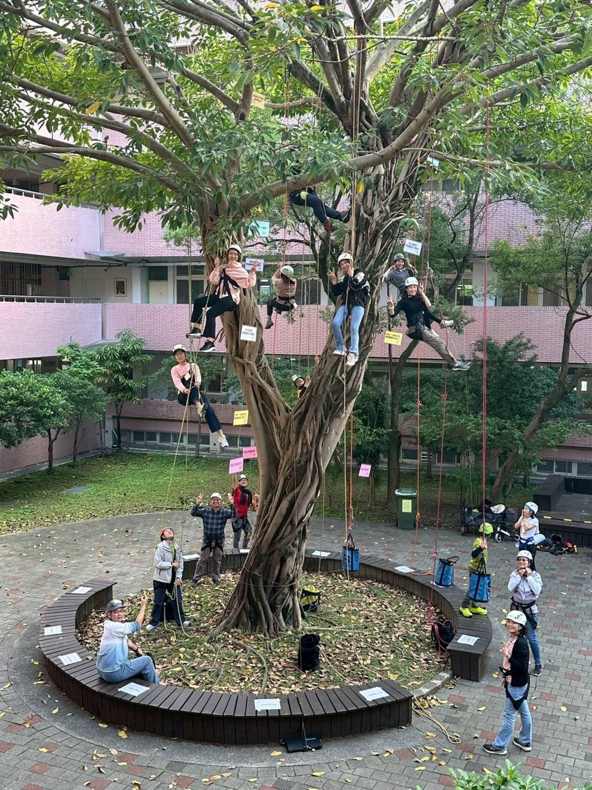 親師登上樹梢，看見不同視角，感受不一樣的自己