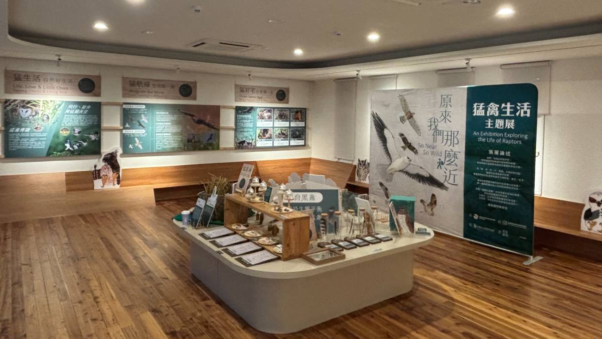 林業保育署臺中分署與生物多樣性研究所、台灣野鳥協會與挺挺動物網絡合作，在大雪山遊客中心3樓舉辦「原來我們那麼近.猛禽生活主題展」，帶領民眾走進猛禽的奇異世界。