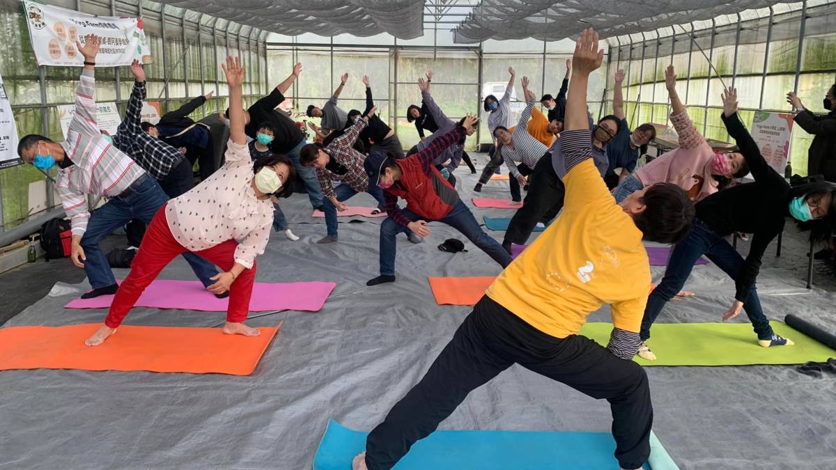 稻田裡的瑜珈課