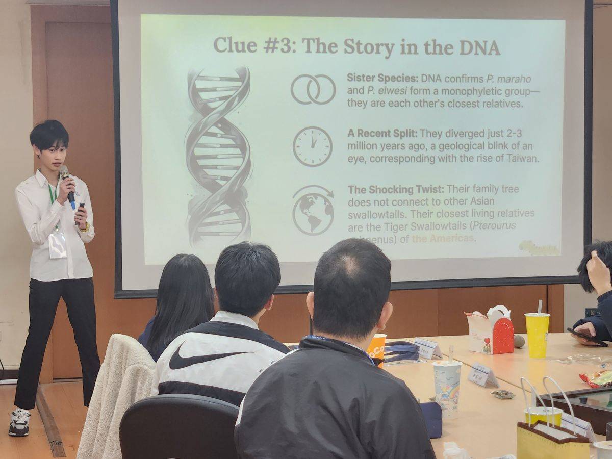 兩校學生進行科學學術研究發表，成功高中學生陳宥廷報告臺灣國蝶寬尾鳳蝶的相關研究

