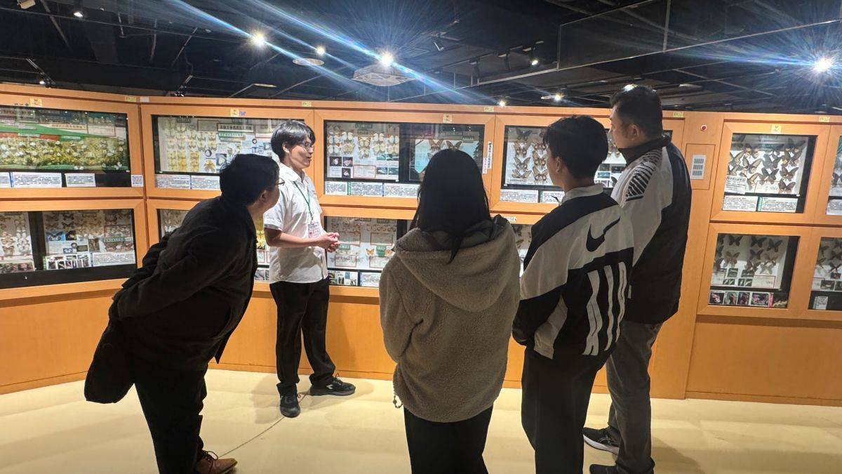 成功高中學生羅木松導覽昆蟲館
