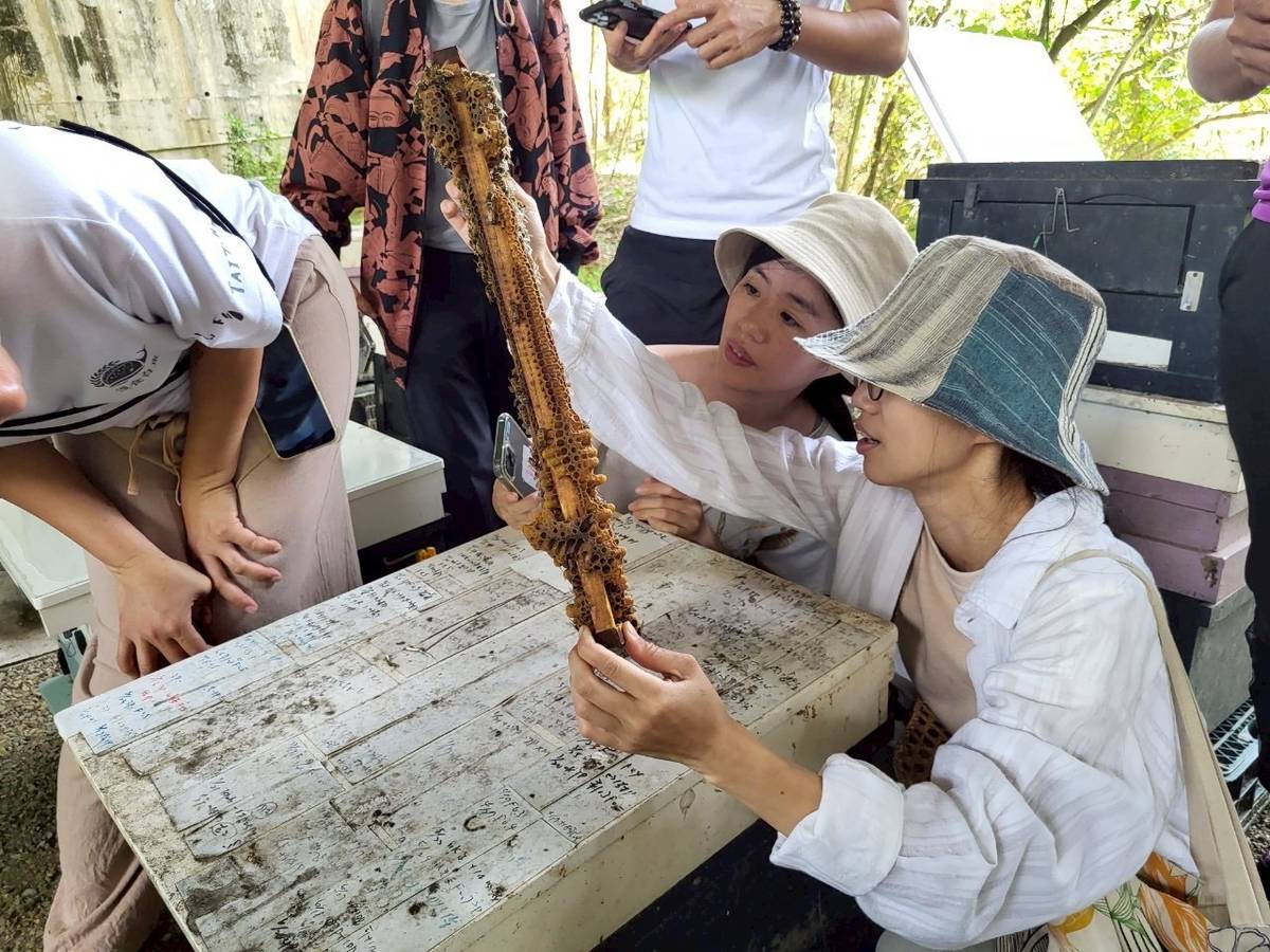 帶領民眾認識養蜂流程