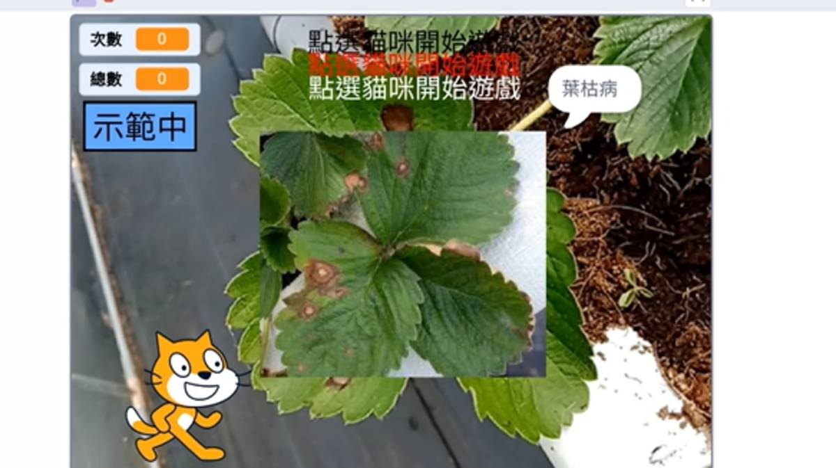 草莓病蟲害辨識APP，可以找出草莓病蟲害（圖:東興國小提供）