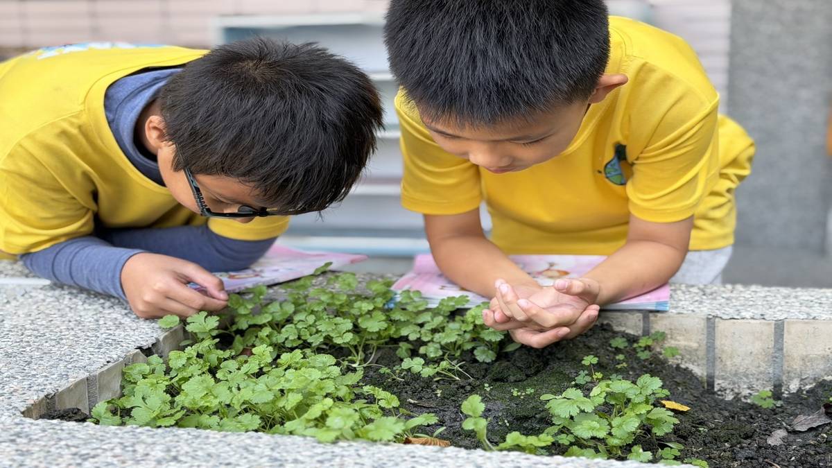 北斗國小食農教育 教小朋友種香菜