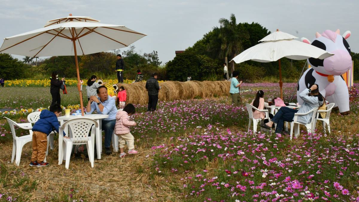 置身花海中在花海涼亭小憩遇見幸福