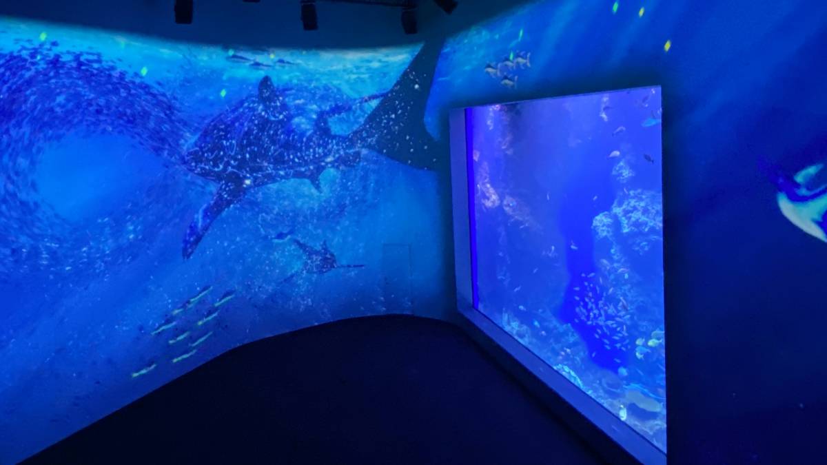 黑潮之海除了大型展缸之外還搭配了投影畫面增加了沉浸感