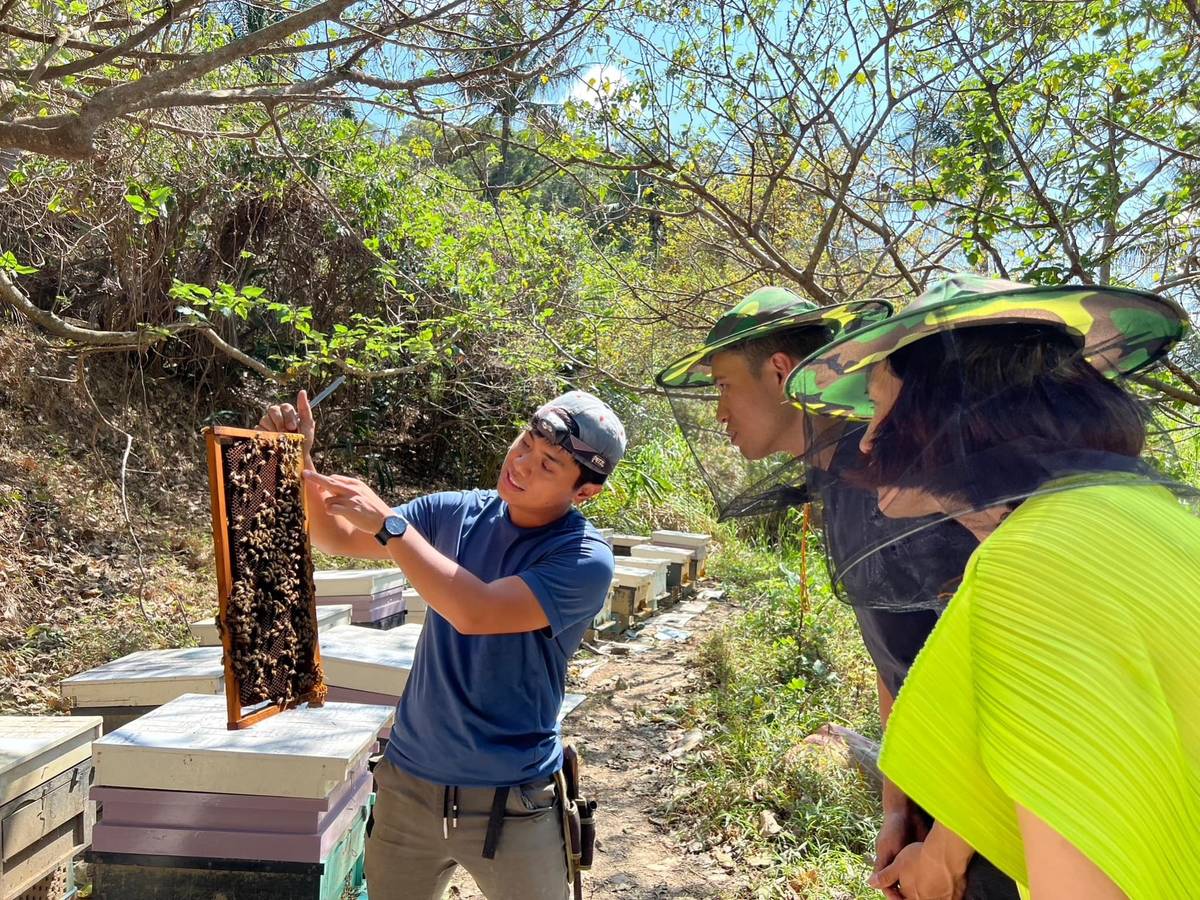 讓大眾認識蜜蜂/取自「獵場」FB粉絲專頁
