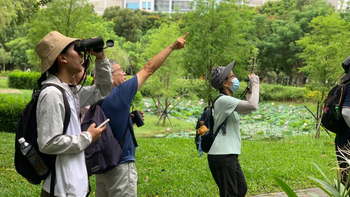 美崙公園、雙溪濕地公園進行野鳥調查(圖片由陳虹樺提供）