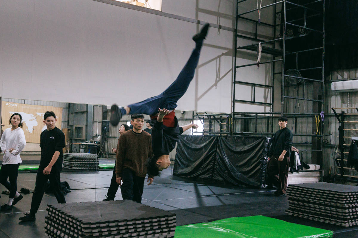 FOCASA馬戲團日常訓練(文總提供)