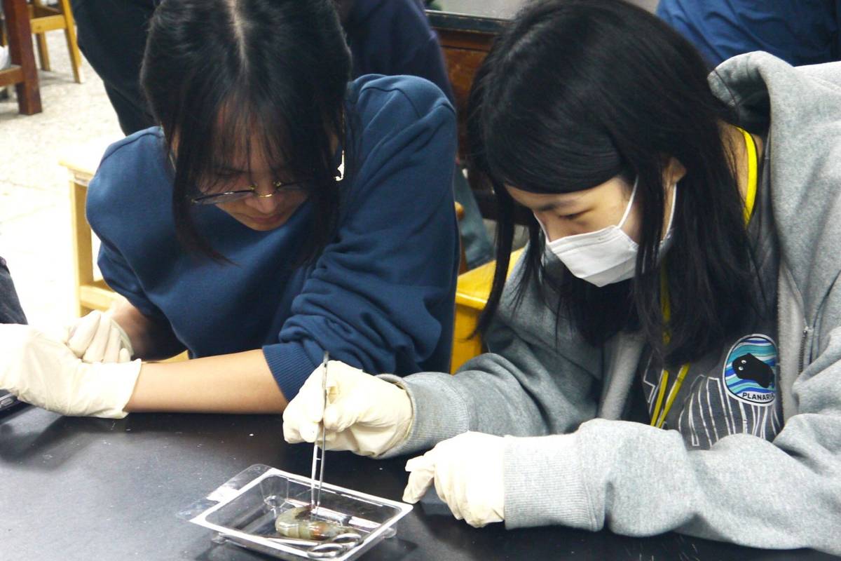 參與營隊的高中學生在中山醫大實驗室進行節肢動物解剖實作，體驗生科研究。（圖:中山醫大提供）