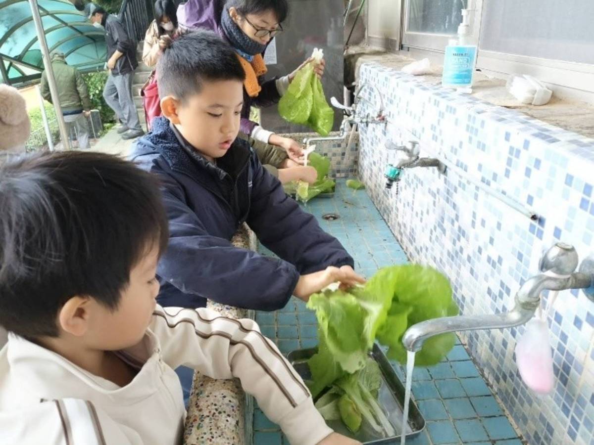學生清洗剛從小田園採收的芥菜