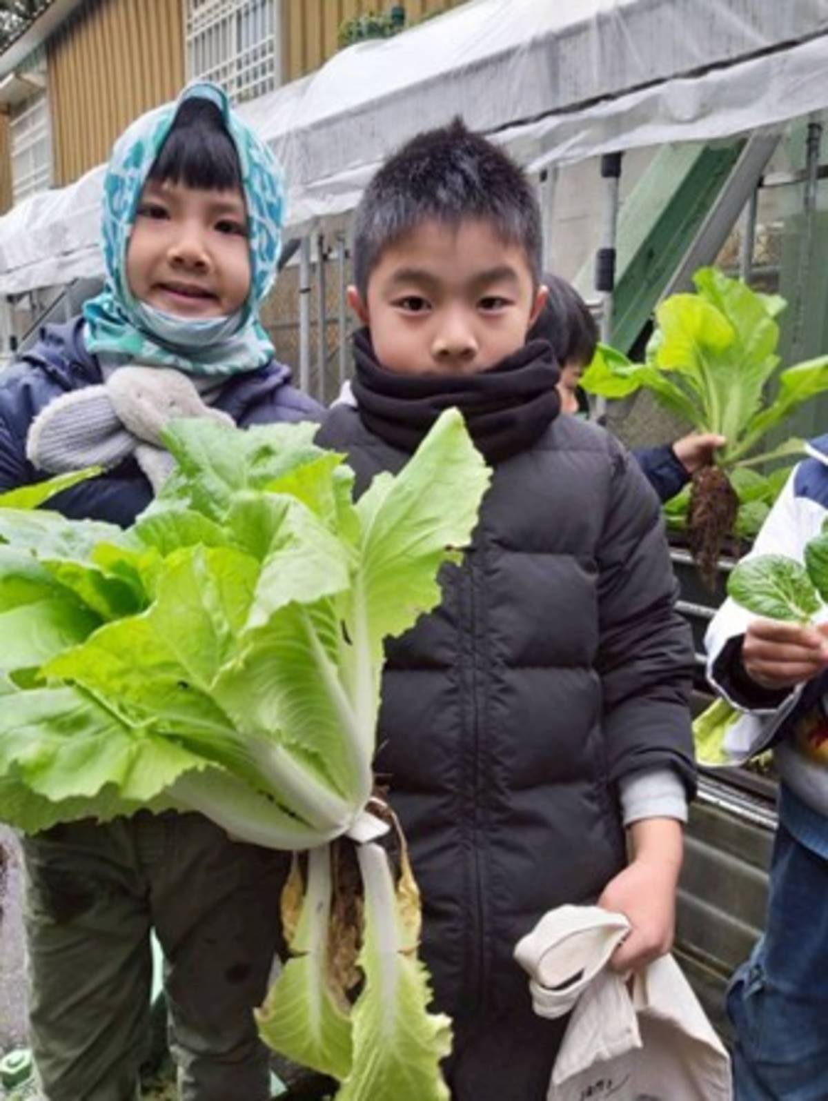 學生親身體驗從栽種、照護、採收到料理的完整歷程