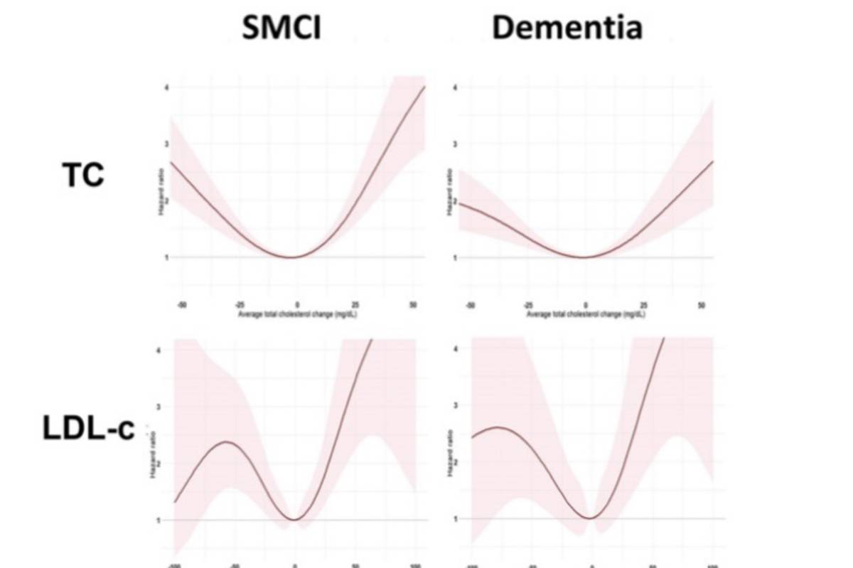 照護高齡者不應盲目降脂，維持血脂「平衡與穩定」才是預防失智的關鍵。
