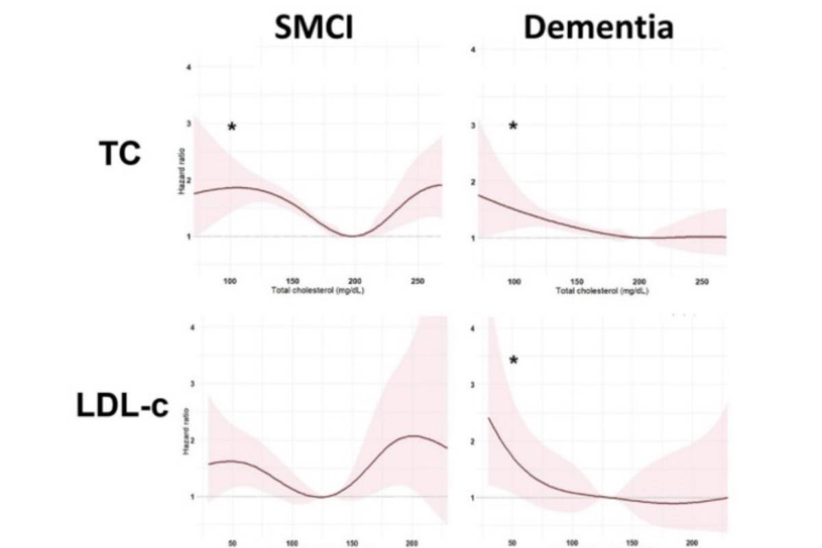 膽固醇非越低越好！彰化秀傳研究揭示高齡失智「U型」風險預警。