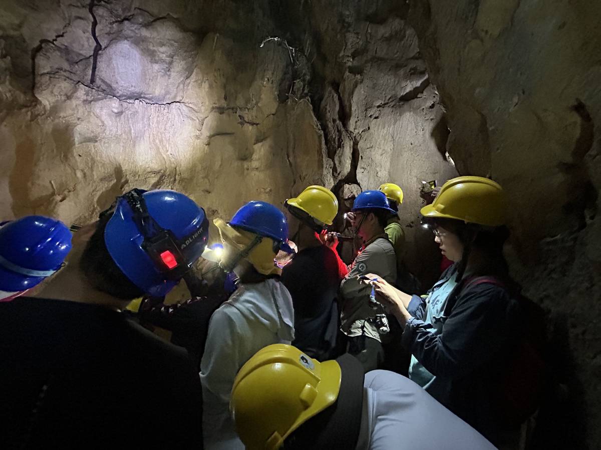 講師培訓進階工作坊-探洞課程與戶外教育活動 (教育部提供)